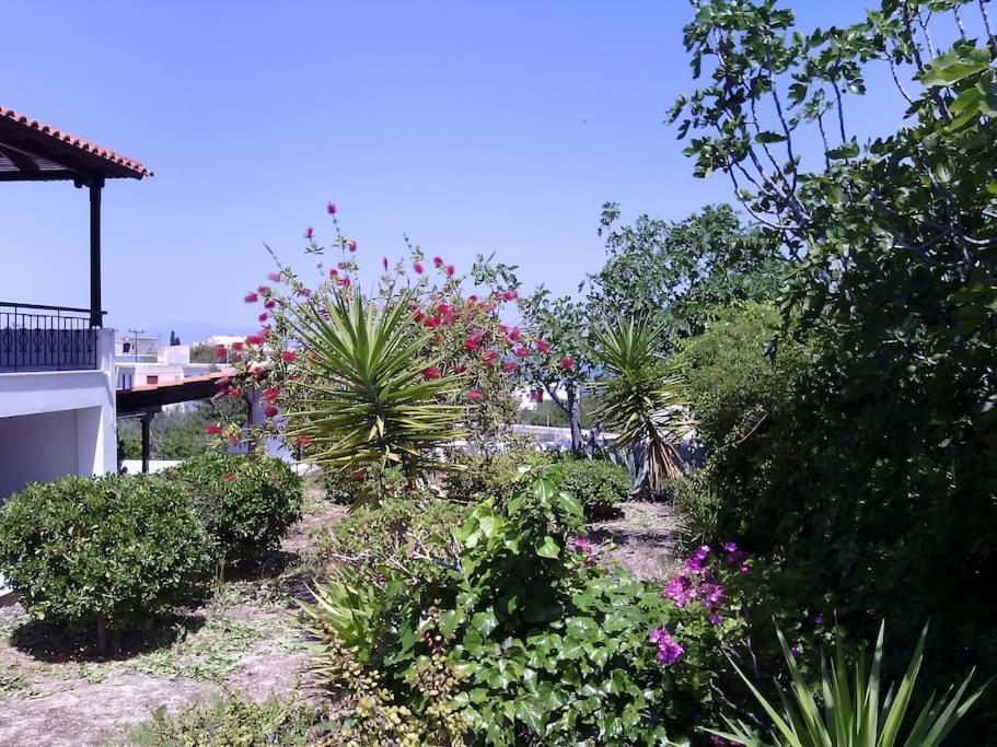 Explore Aegina Island 수발라 외부 사진