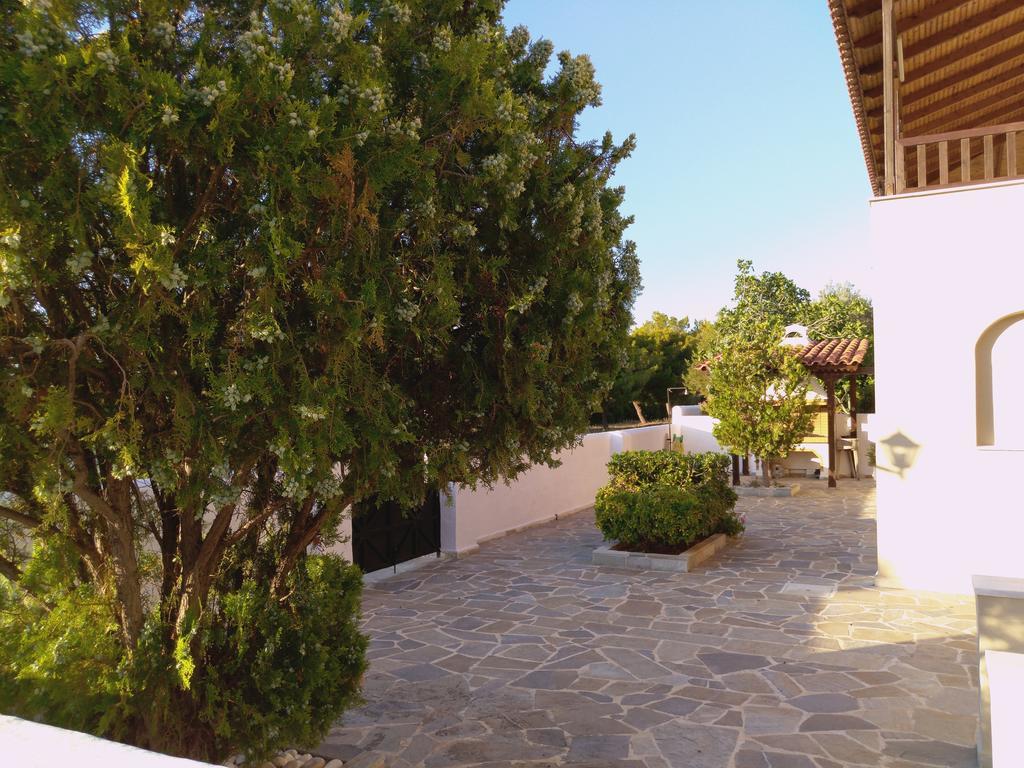 Explore Aegina Island 수발라 외부 사진